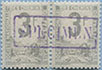 946.49-Pair Specimen