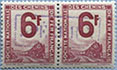 946.52-Pair Specimen