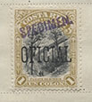 901.25-Sp Tooth 13½