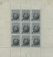 901.07-Sp Type III 