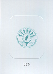 020.11-L B Reserve side